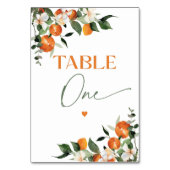 ユーカリプトゥスオレンジ柑橘類テーマテーブルナンバーワン テーブルナンバー (裏面)