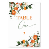 ユーカリプトゥスオレンジ柑橘類テーマテーブルナンバーワン テーブルナンバー (正面)