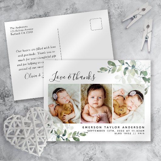 ユーカリプトゥス写真ベビーサンキューカード ポストカード