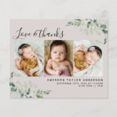 ユーカリプトゥス写真新生児サンキューカード (正面)