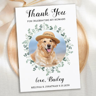 ユーカリモダンプスグリーンリーPET犬の写真結婚ズ サンキューカード