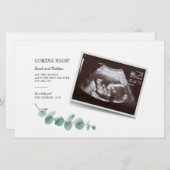 ユーカリ妊娠ベビー暴露 便箋 (正面/裏面)