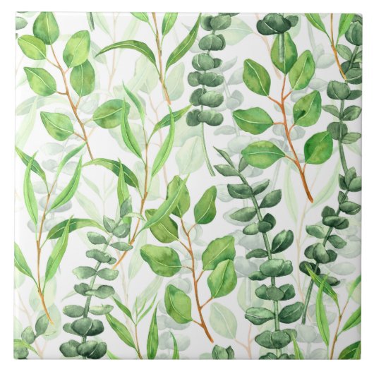 ユーカリ属 タイル (正面)