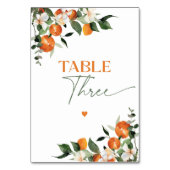 ユーカリ柑橘類テーマ表番号3 テーブルナンバー (裏面)