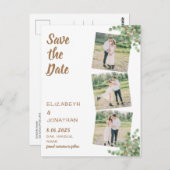 ユーカリ植物葉3写真保存日 ポストカード (正面/裏面)