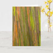 ユーカリ樹皮抽象芸術 カード (黄色い花)