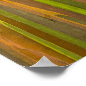 ユーカリ樹皮抽象芸術 ポスター (角)