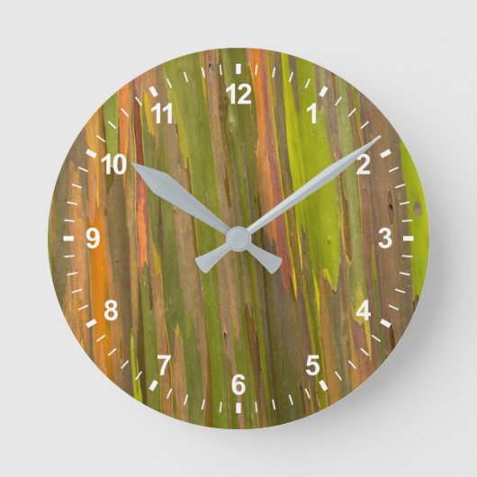 ユーカリ樹皮抽象芸術 ラウンド壁時計 (正面)