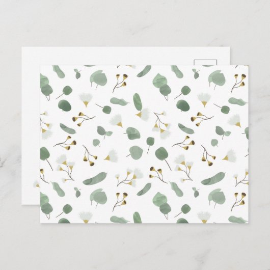 ユーカリ緑の銀ドルガムの花 ポストカード (正面/裏面)