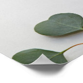 ユーカリ葉キス縦徴候 ポスター (角)