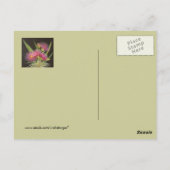 ユーカリ葉書き付きクーカブラ ポストカード (裏面)