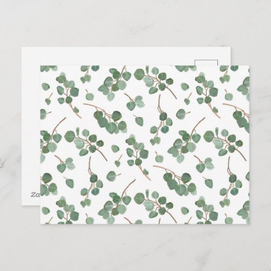 ユーカリ銀ドルの木の葉の柄 シーズンポストカード (正面/裏面)