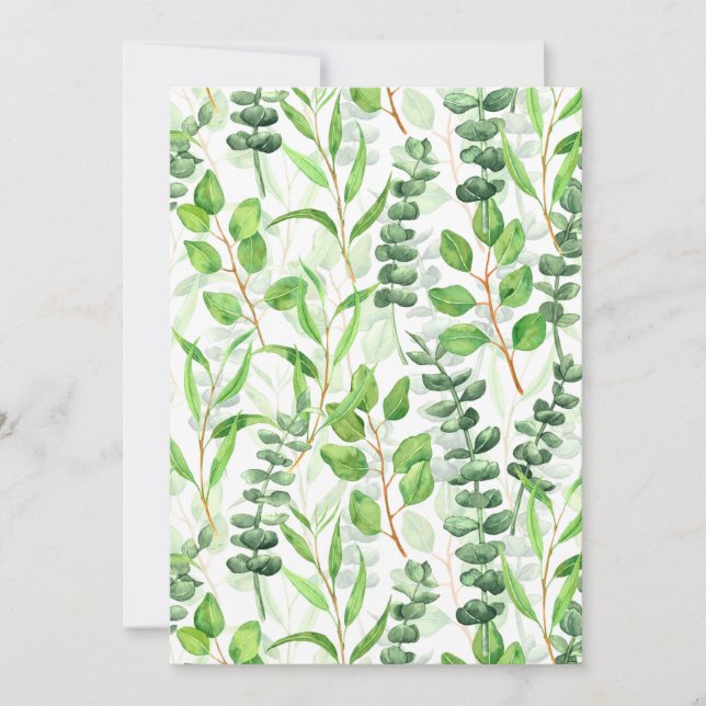 ユーカリ (正面)