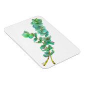 ユーカリ01 マグネット (右側)