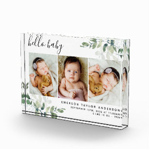 ユーカリ3フォトベビー誕生統計 フォトブロック