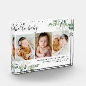 ユーカリ3フォトベビー誕生統計 フォトブロック (左)