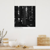 ユーカリ・グローブ、UC Berkeley、1967 ポスター (キッチン)