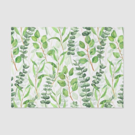 ユーカリ 薄葉紙 (正面)