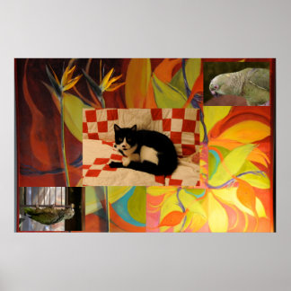 ユークリッドの夢 ポスター