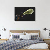 ユーグレナ概念図2 キャンバスプリント (インサイチュ (寝室))