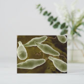 ユーグレナ概念図3 ポストカード (スタンド正面)