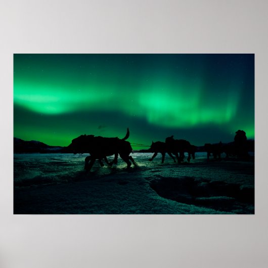 ユーコンクエスト魔法 ポスター (正面)