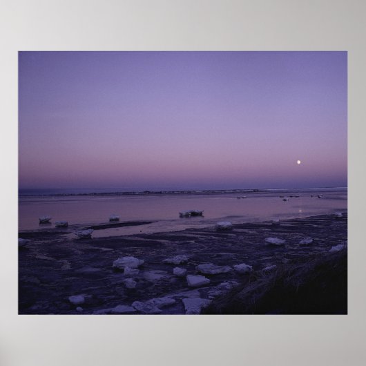 ユーコンデルタ国立野生生物保護区 ポスター (正面)