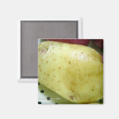 ユーコン準州の金ゴールドのポテト マグネット (正面/裏面)