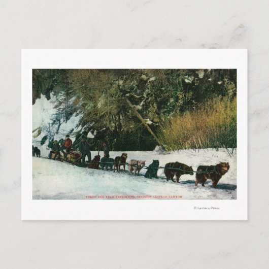 ユーコン犬チームがアラスカ渓谷を自由に旅 ポストカード (正面)