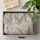 ユージーングラスアセットのボタニシリーズのユリ・オブ・ザ・バレー 薄葉紙 (ギフト)