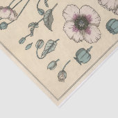 ユージーングラスアセットのボタニーシリーズ、ポピー 薄葉紙 (詳細)