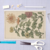 ユージーングラスアセットのボタニーシリーズ 薄葉紙 (クラフト)