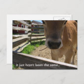 ユースグループ招待状 インビテーションポストカード (正面/裏面)