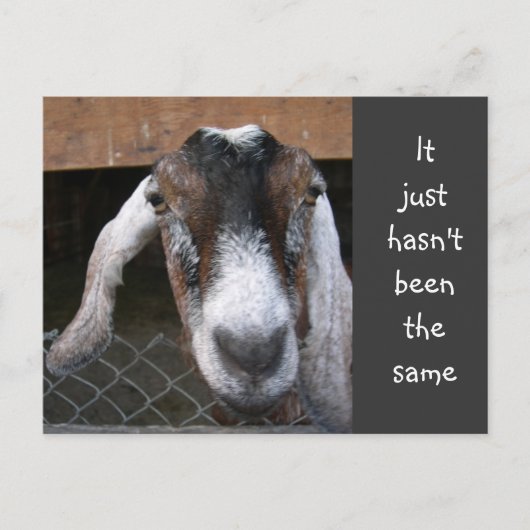 ユースグループ招待状 インビテーションポストカード (正面)