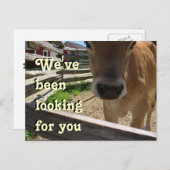 ユースグループ招待状 インビテーションポストカード (正面/裏面)