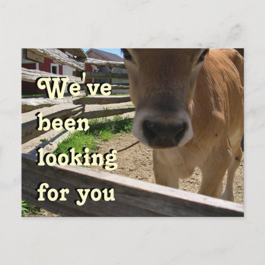 ユースグループ招待状 インビテーションポストカード (正面)