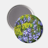 ユーフォビアとベロニカ マグネット (正面/裏面)