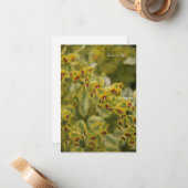 ユーフォビア ノートカード (正面/裏面インサイチュ)