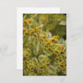 ユーフォビア ノートカード (正面/裏面)