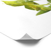 ユーフォビア ポスター (角)