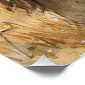 ユーフォリアの耳：ちょっとした気まぐれなウサギ ポスター (コーナー)