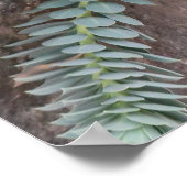 ユーフォルビア菌糸体(マートル・スパージ) ポスター (角)