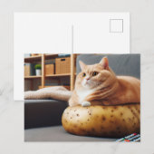 ユーモアあふれるコウテイネコ ポストカード (正面/裏面)