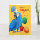ユーモアあふれるヒメコンゴウインコの誕生日グッズ カード (正面)