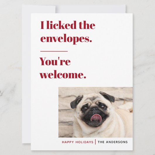 ユーモアあふれるペットのホリデーカード シーズンカード (正面)