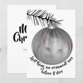 ユーモアあふれる猫のクリスマスカード バブルが見た最後のもの 招待状