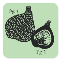 ユーモアあふれる科学的なイラストの無花果