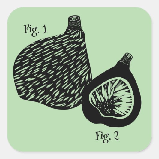 ユーモアあふれる科学的なイラストの無花果 スクエアシール (正面)