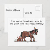 ユーモアあふれる農耕馬の誕生日メッセージ ポストカード (正面/裏面)