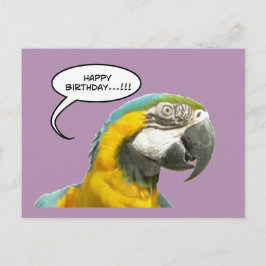 ユーモアたっぷりのおしゃべりインコの誕生日ポストカード ポストカード